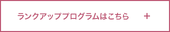 ランクアッププログラムはこちら