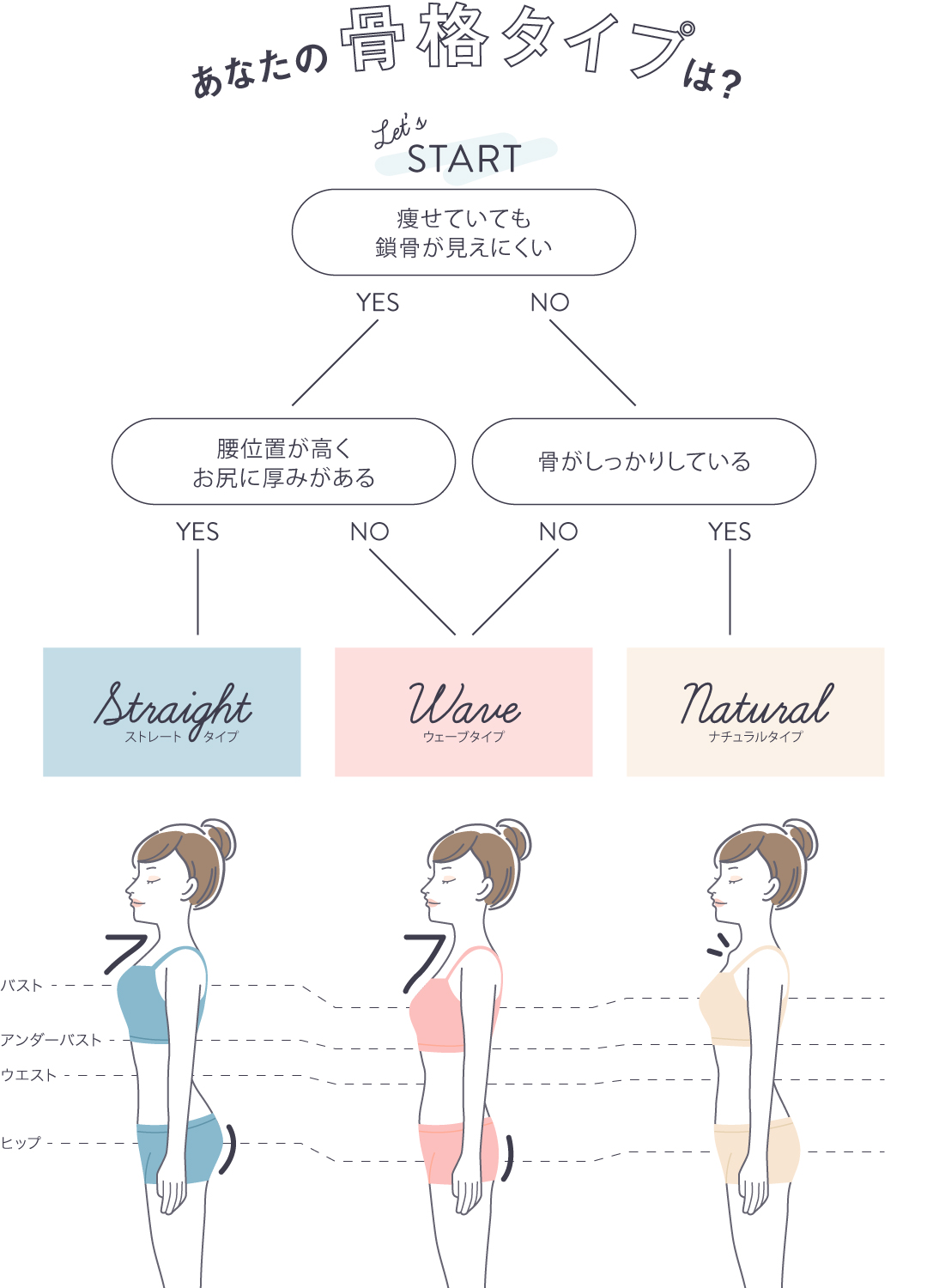 骨格診断