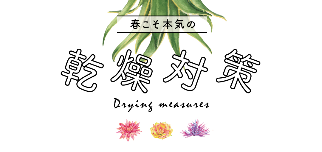 乾燥対策