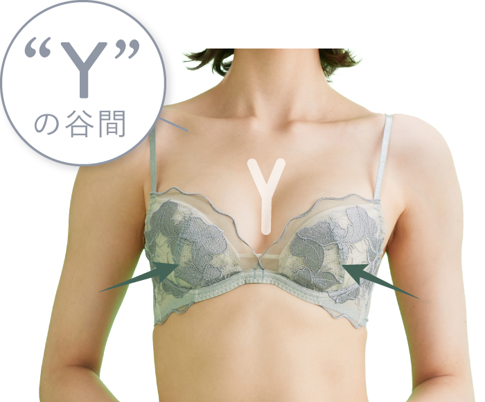 プッシュアップブラ