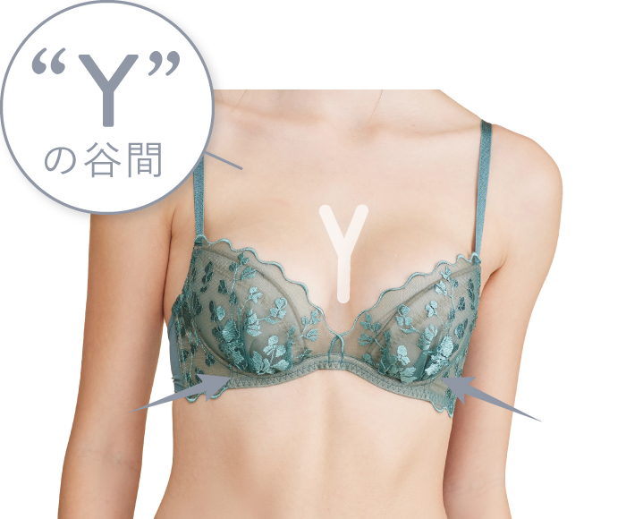 プッシュアップブラ
