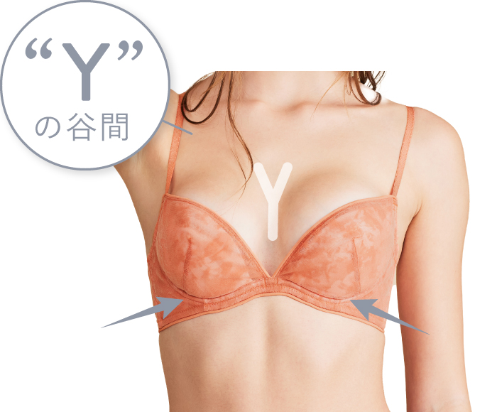 プッシュアップブラ