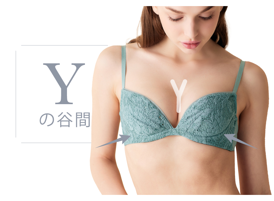 プッシュアップブラ