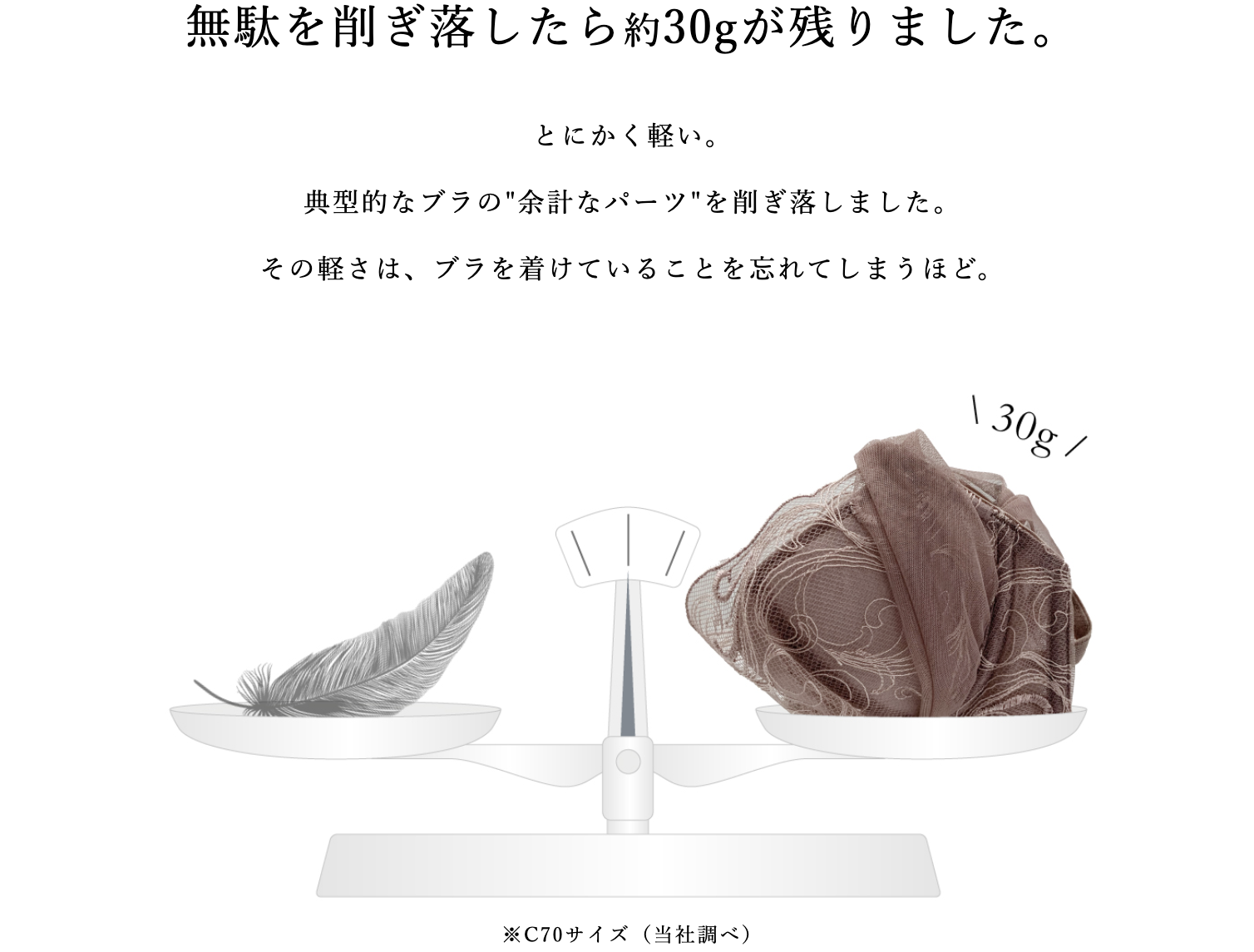 シアーライトブラ