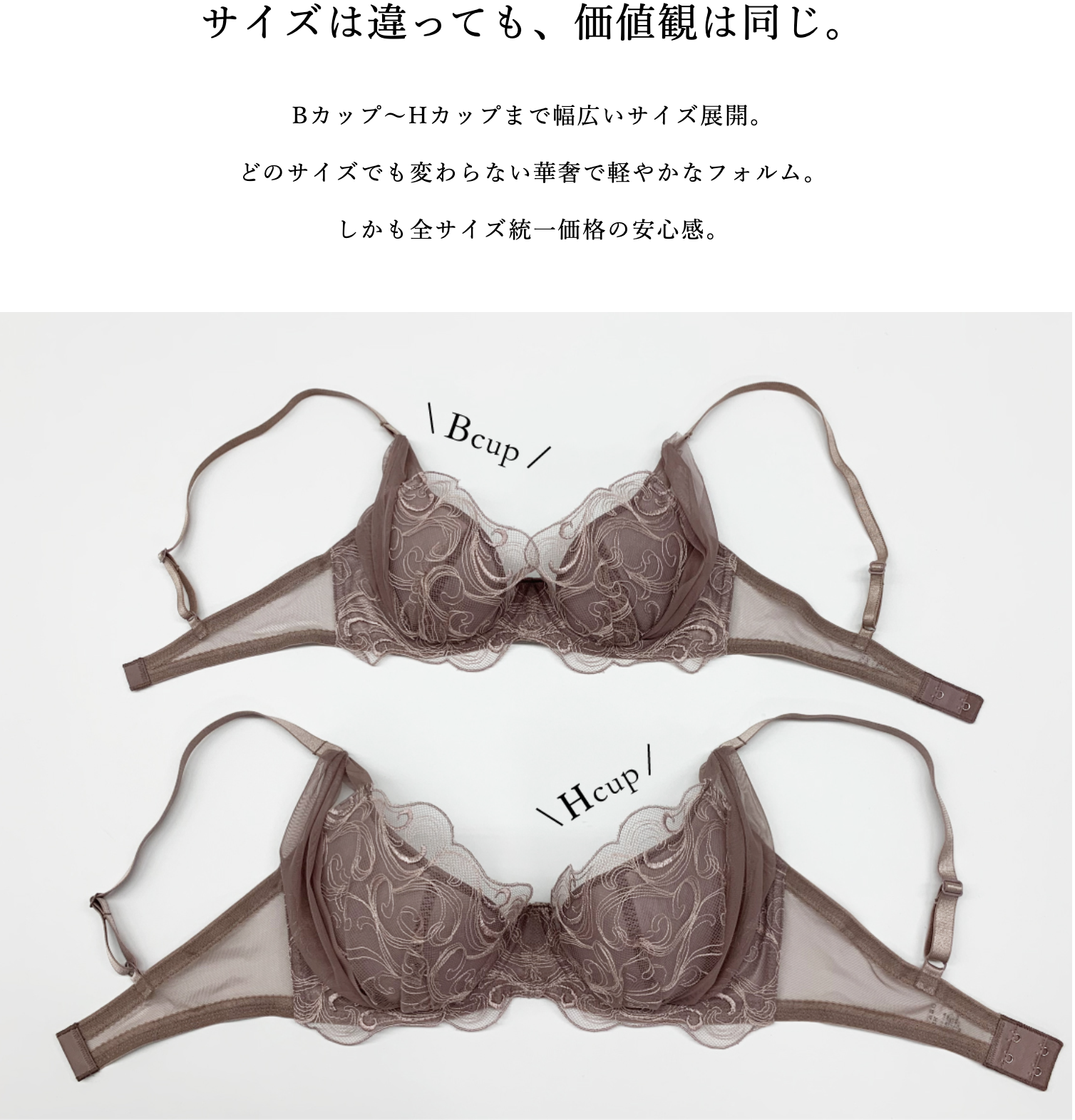 シアーライトブラ