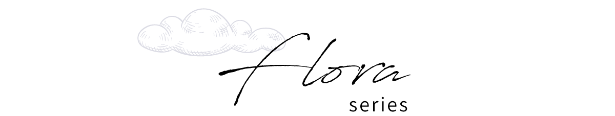 ナイトブラ(フローラ)